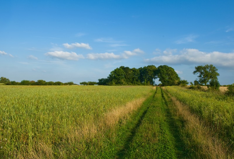 - >
  field-with-pathway-cherington-gloucestershire-2022-03-07-23-53-27-utc.jpg